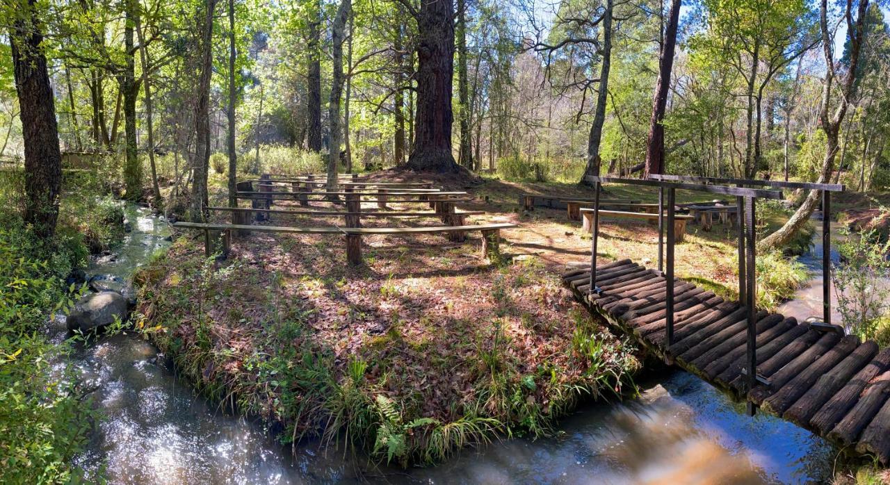 The Historic Hogsback Inn Экстерьер фото